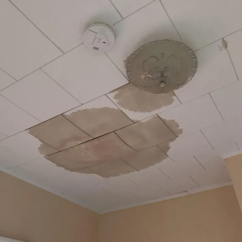 Ceiling Water Damage Repair in Long Lake, MN