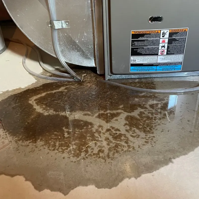 Pipe Burst and Leak Restoration in Long Lake, MN