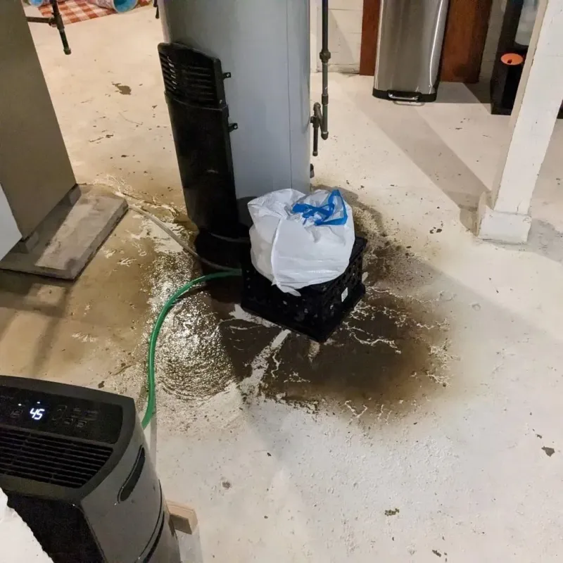 Sewage Backup Cleanup Service in Long Lake, MN